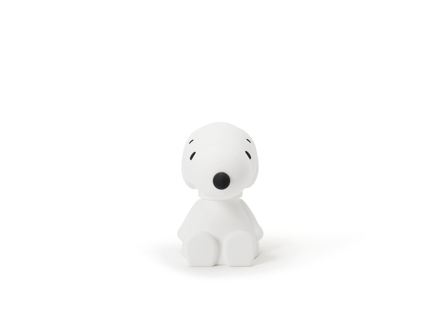 Snoopy First Light 22cm