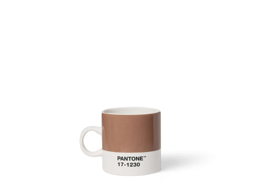 Pantone Espresso Kop COY 2025