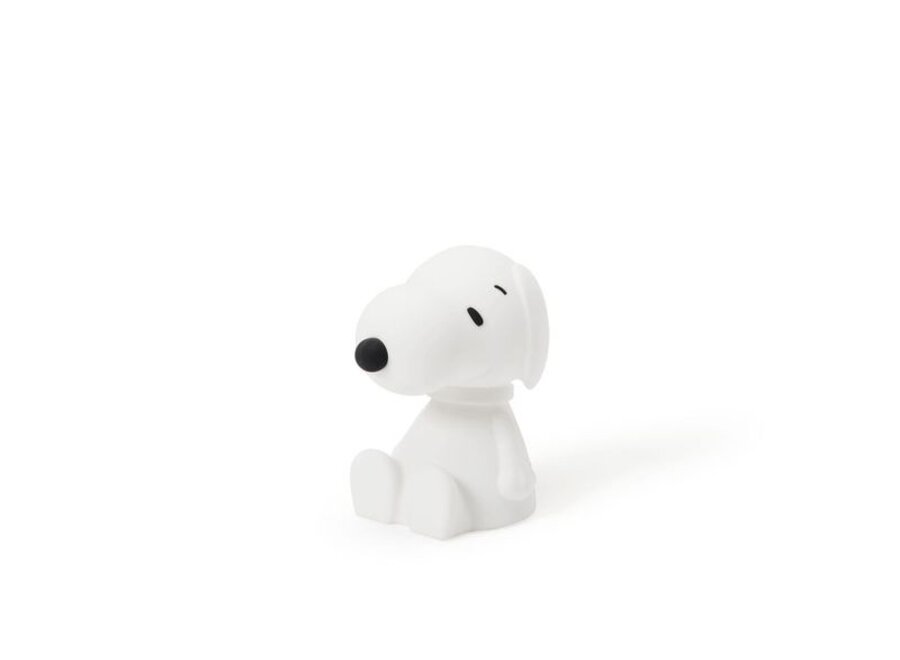Snoopy Bundle of Light