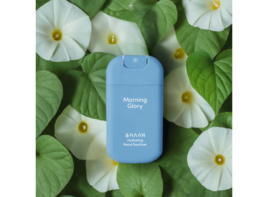 Handspray 5-Pack Morning Glory