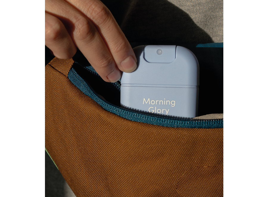 Handspray 3-Pack Morning Glory, Citrus Noon & Bright Rose