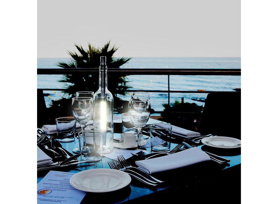 LED Lamp voor Fles