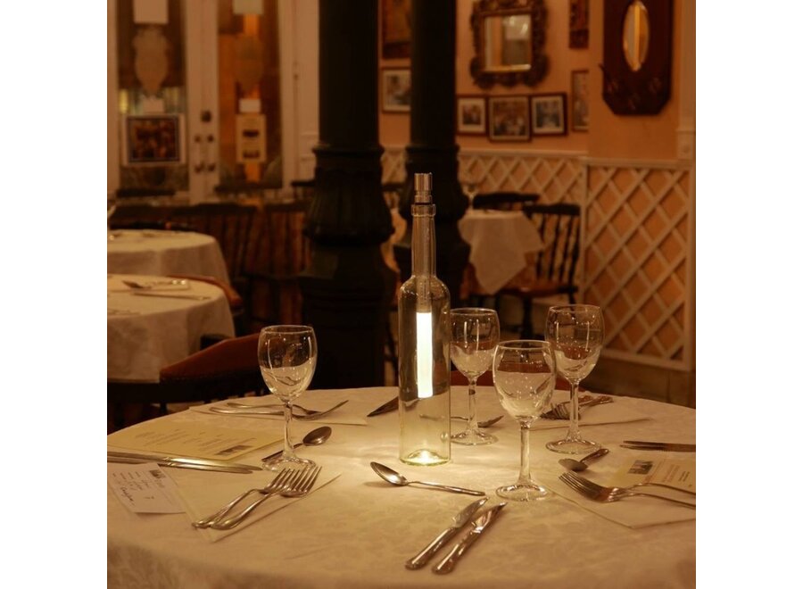 Multicolor LED Lamp voor Fles 2 Stuks