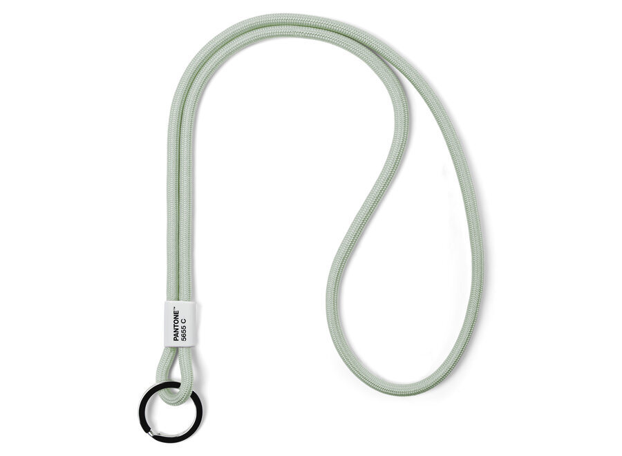 Pantone Keycord Sage 5655 C
