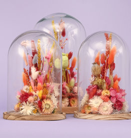 Likeur faillissement Grand glazen stolp met gedroogde bloemen - droogbloemenshop