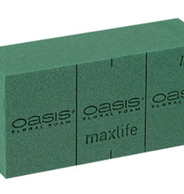 Oasis blok maxlife