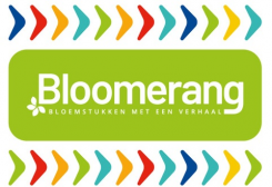 droogbloemenshop