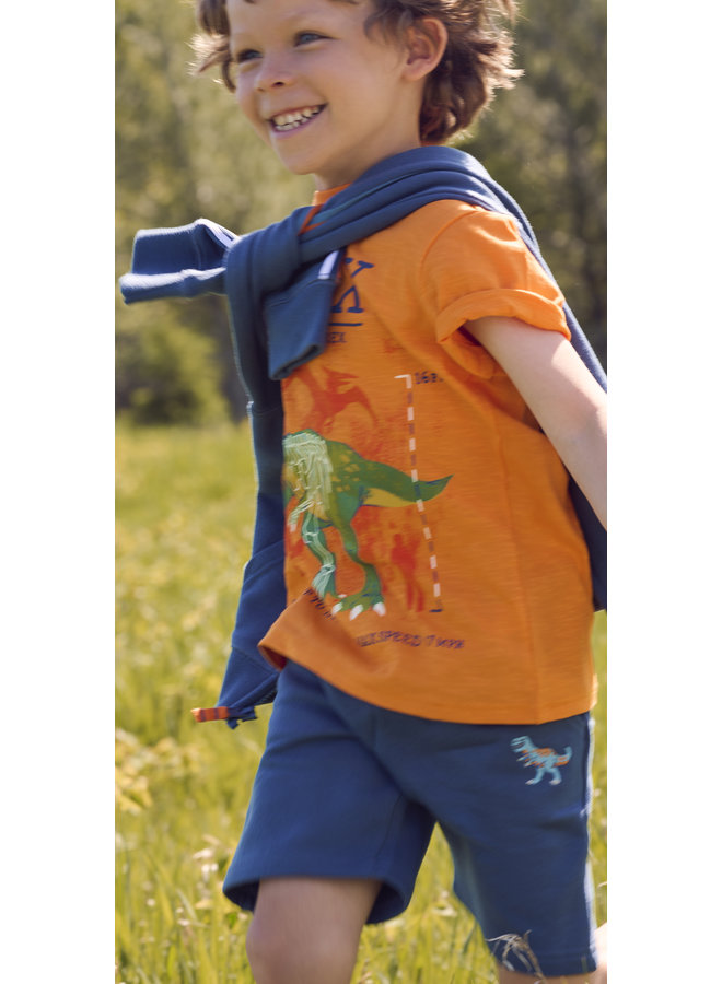 Hatley T-Shirt T-Rex orange im dunkeln leuchten