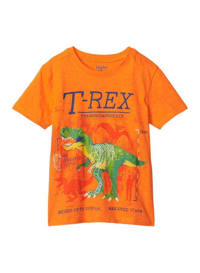 Hatley T-Shirt T-Rex orange im dunkeln leuchten