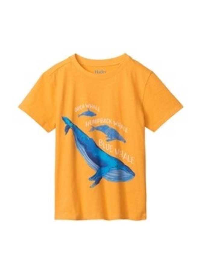 Hatley kurzarm T-Shirt Waal Motiv orange/gelb