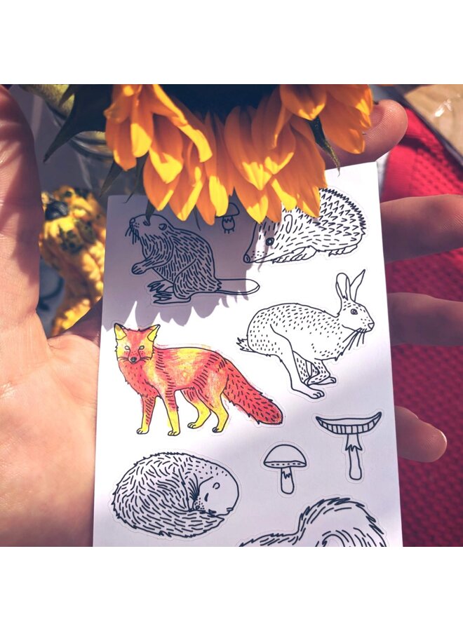 Anna Grunduls Design Forest Animals Coloring Stickers