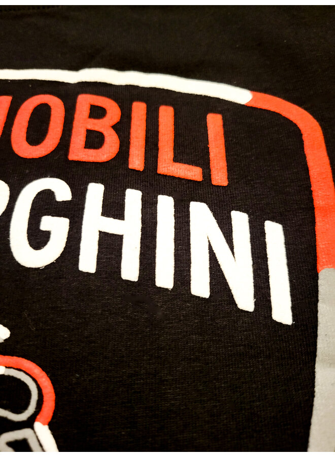 Automobili Lamborghini T-Shirt Logoprint schwarz