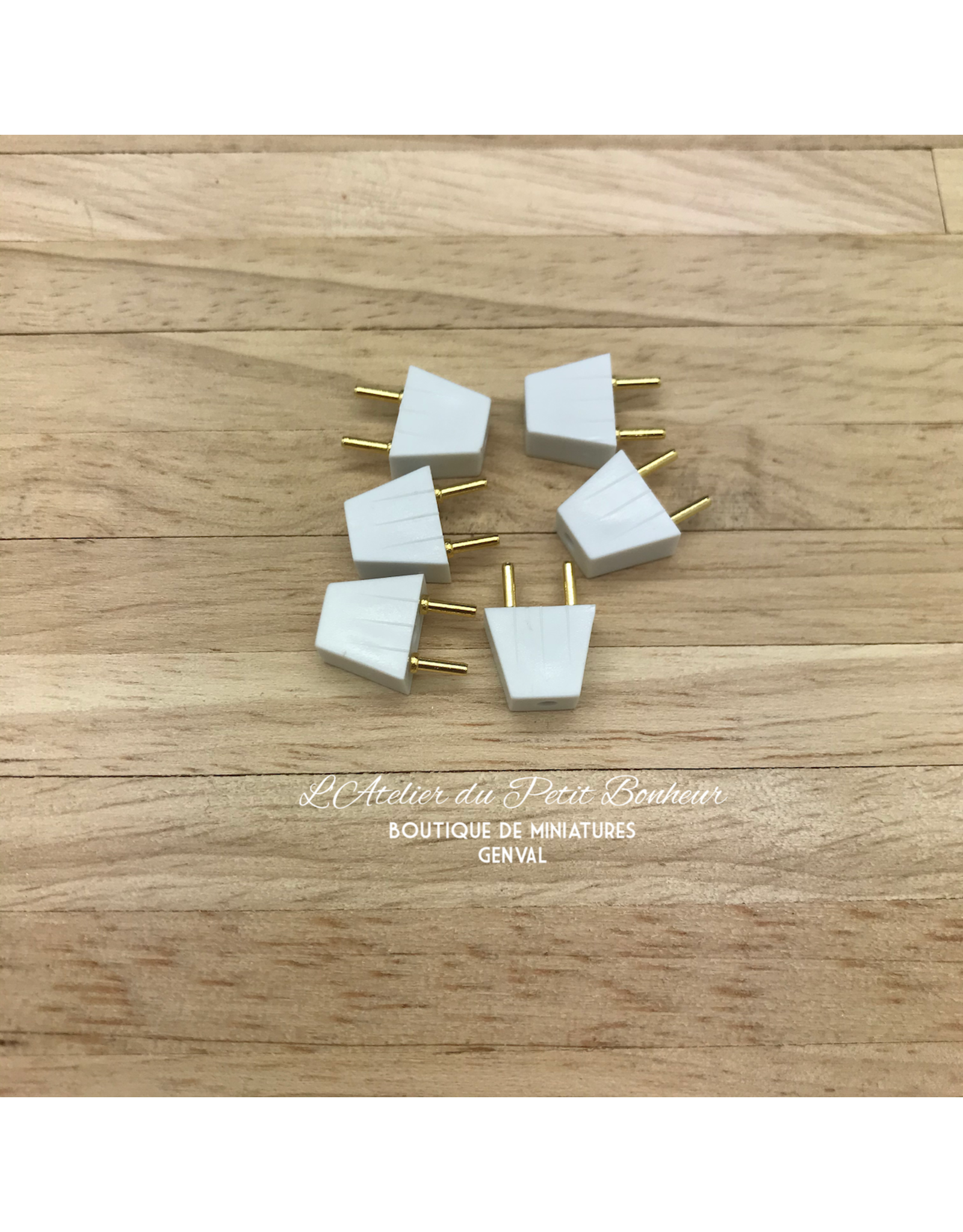 Prises de courants mâles (6) pour lampes 12 Volts