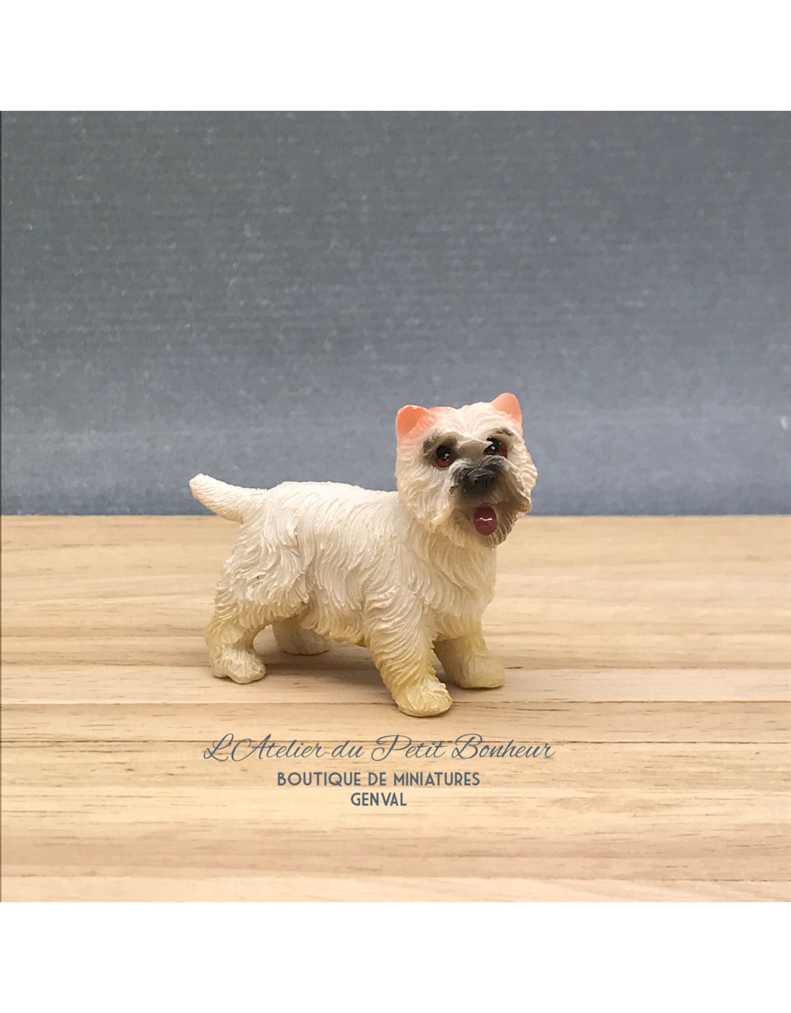 Bichon miniature 1:12