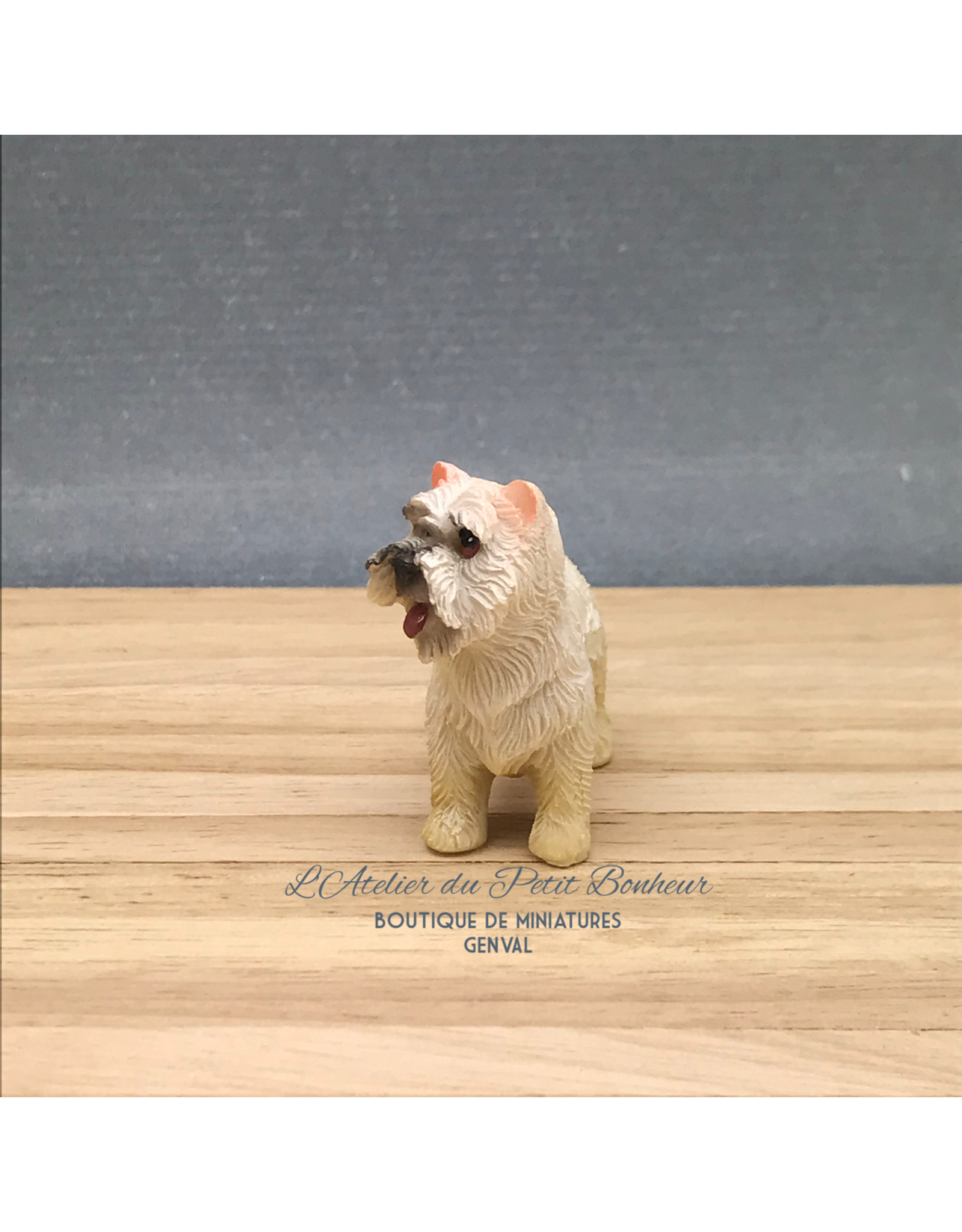 Bichon miniature 1:12