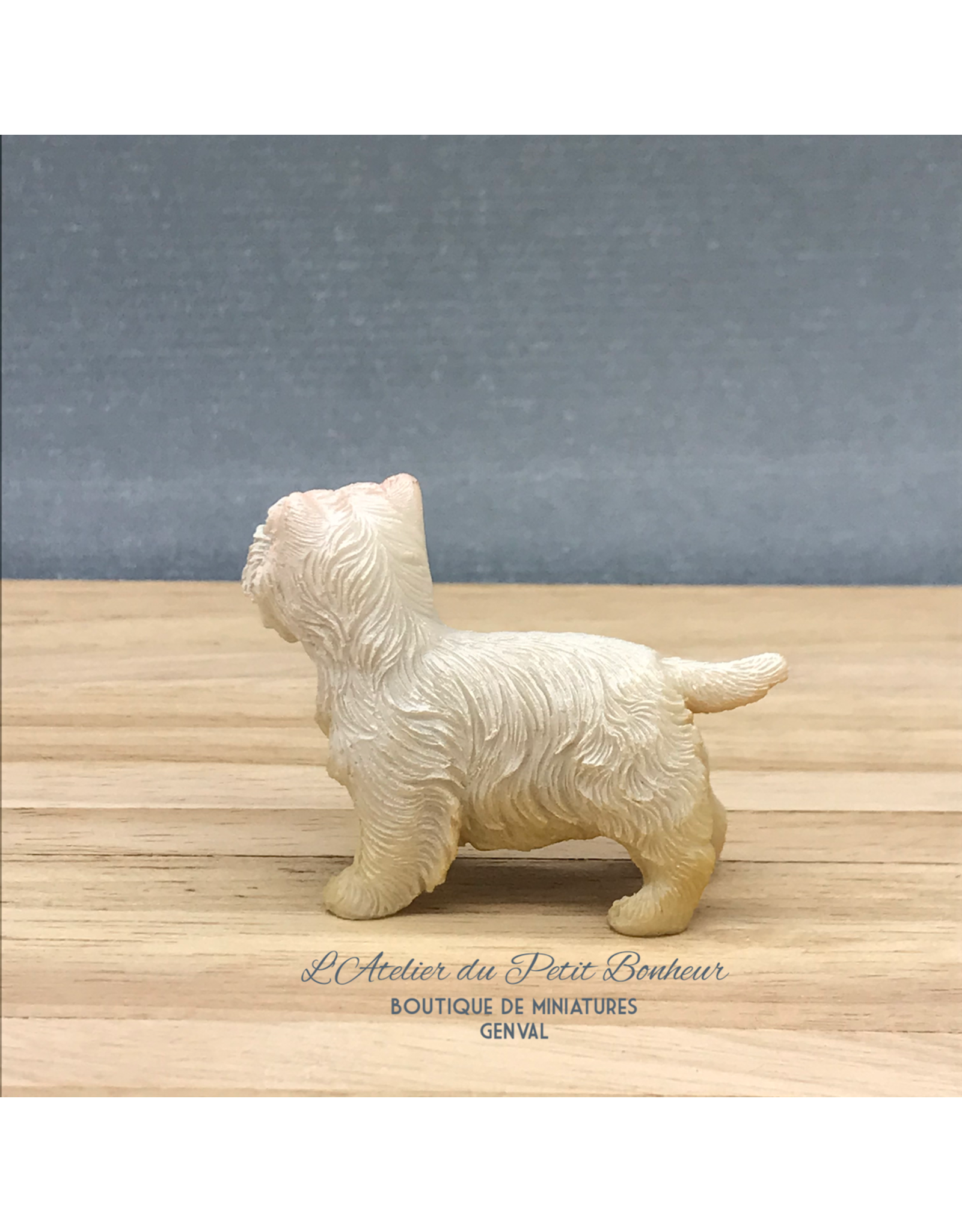 Bichon miniature 1:12