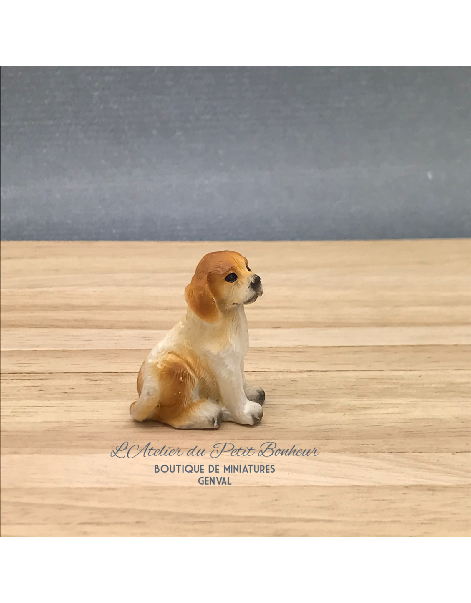 Petit Beagle assis miniature 1:12