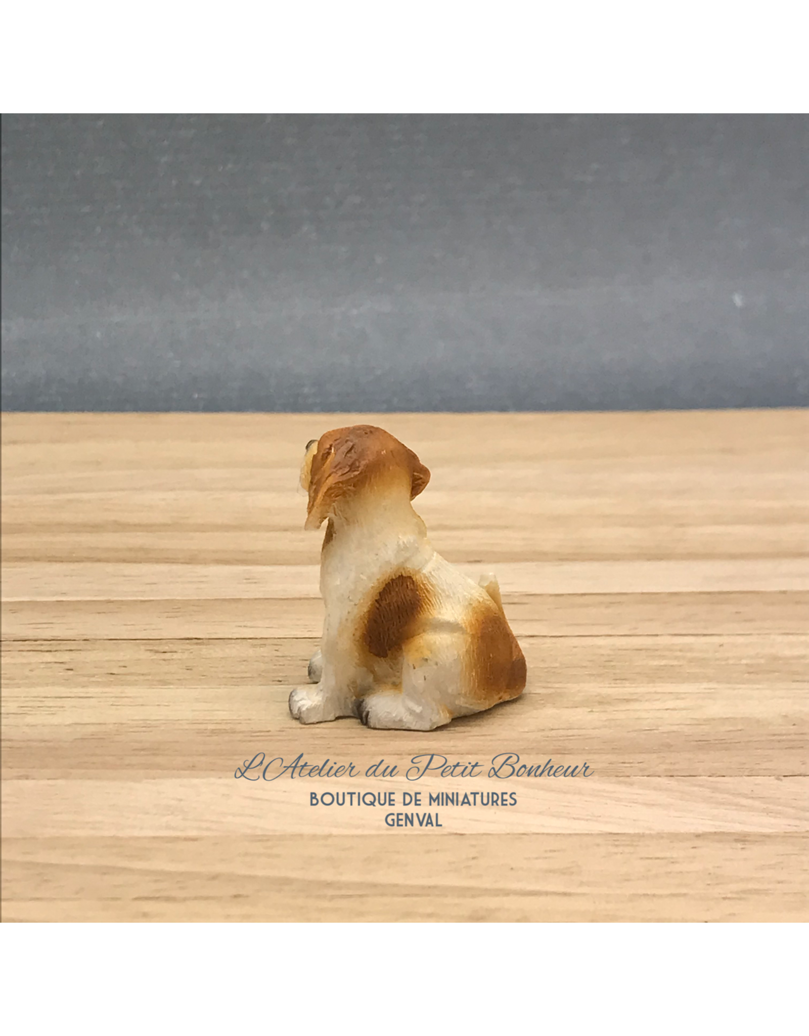 Petit Beagle assis miniature 1:12