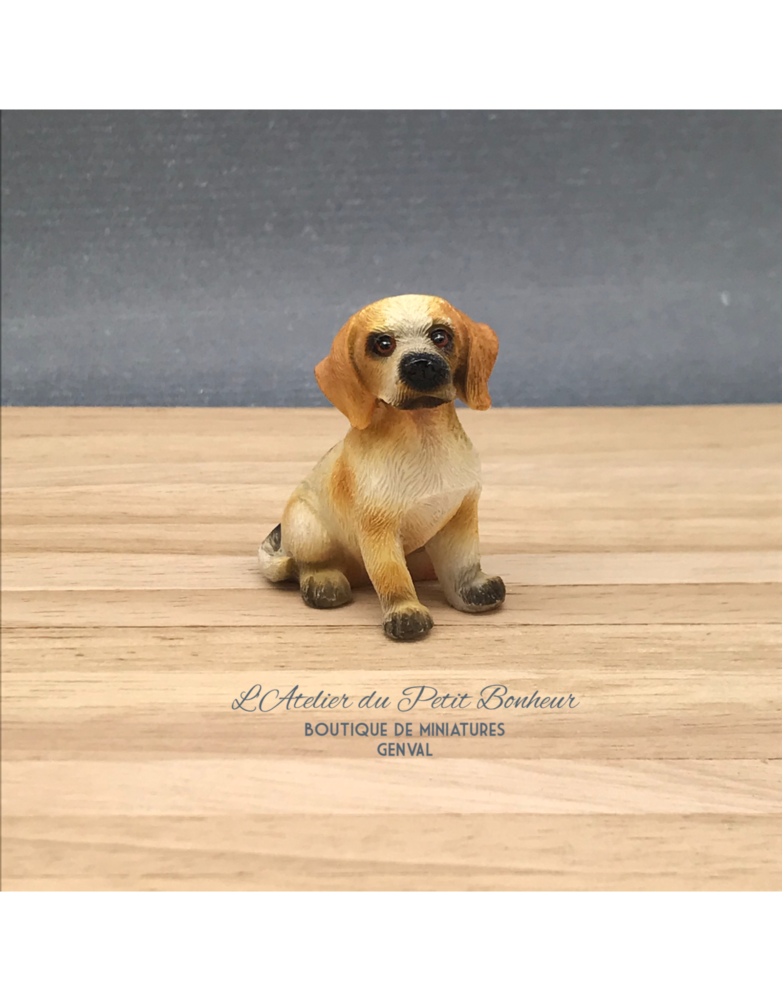 Beagle assis miniature 1:12