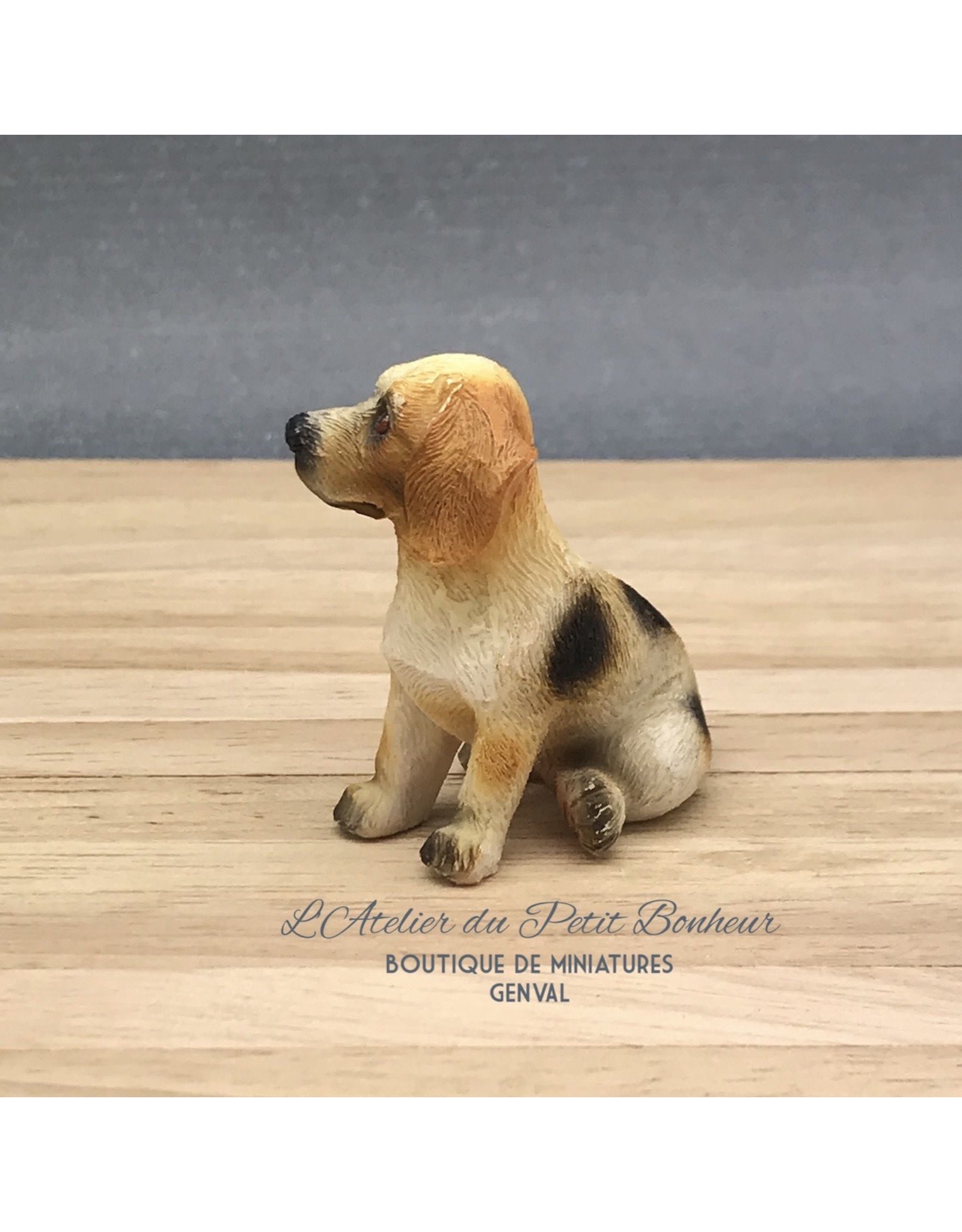 Beagle assis miniature 1:12