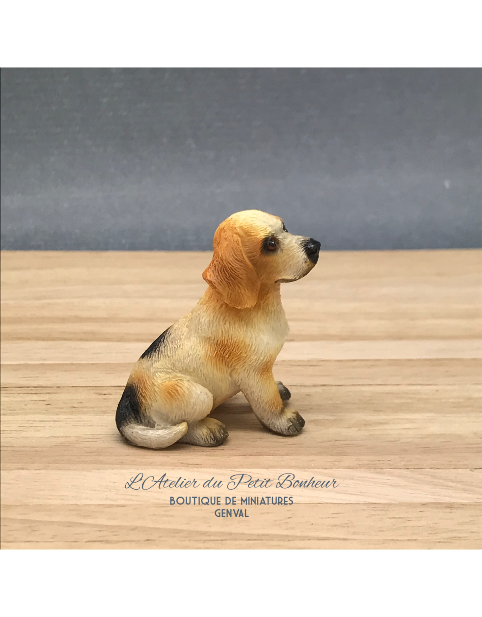 Beagle assis miniature 1:12