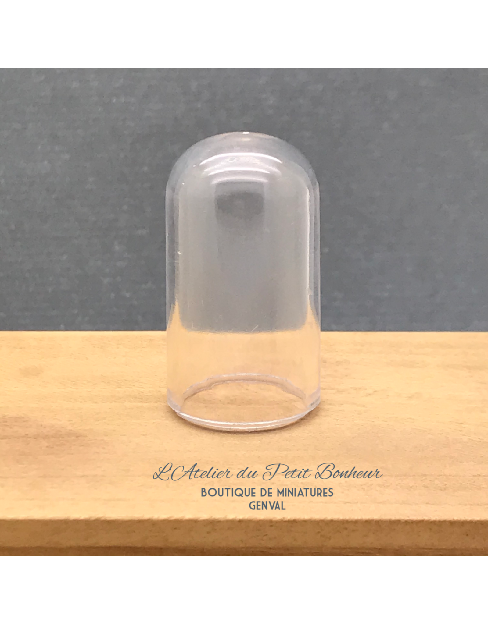 10 Boules à Neige Transparentes Vides - Pour DIY Et Décoration, Créer Vos Propres Globes Avec Neige Artificielle, Paillettes, Figurines