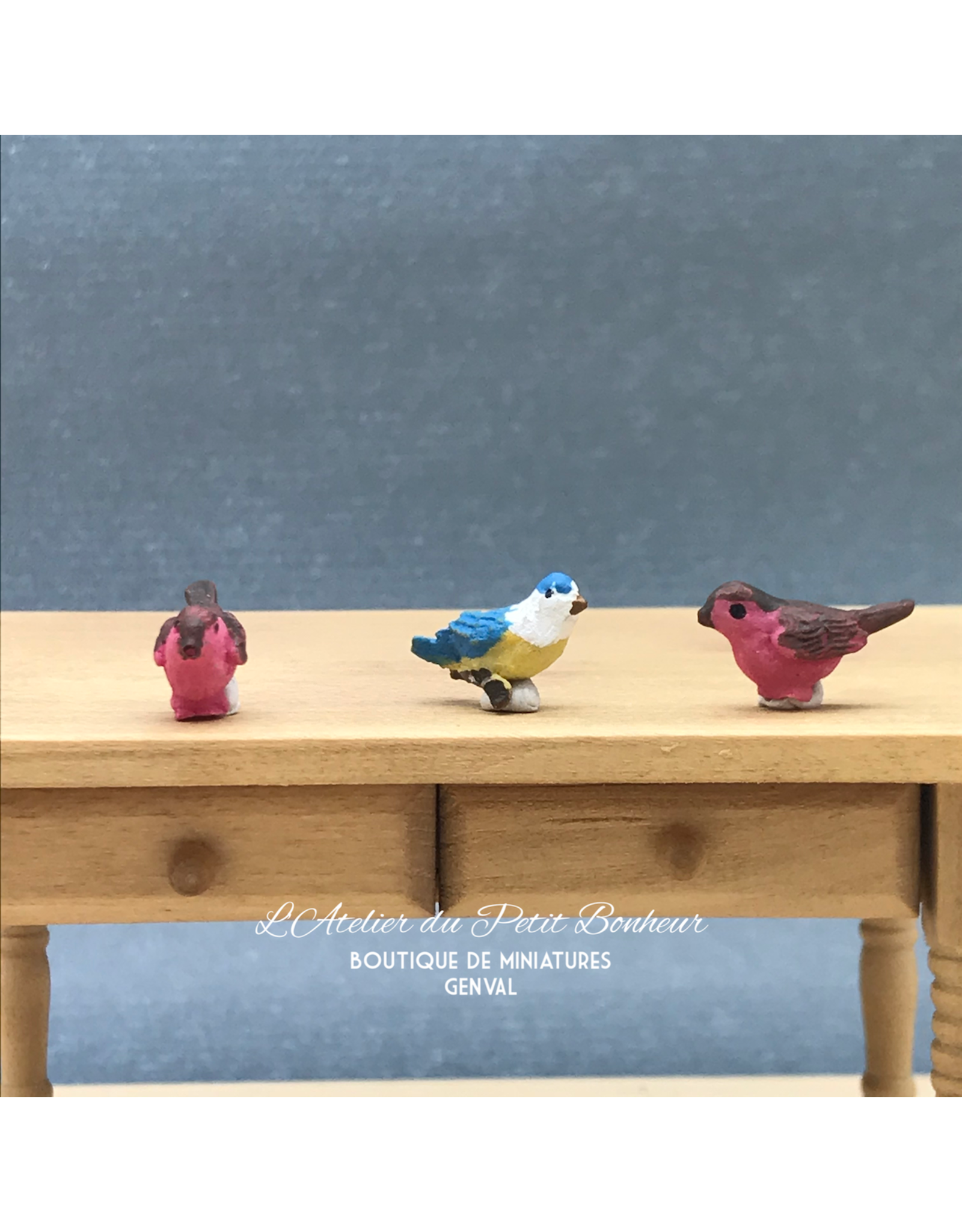 Oiseaux (3) miniatures 1:12