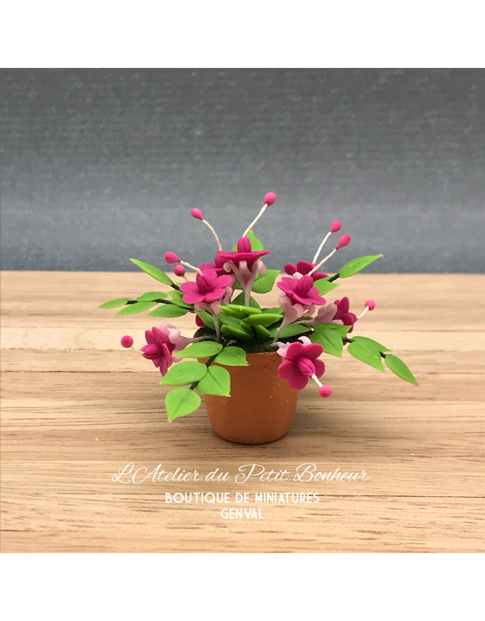 Fuchsia en pot miniature 1:12