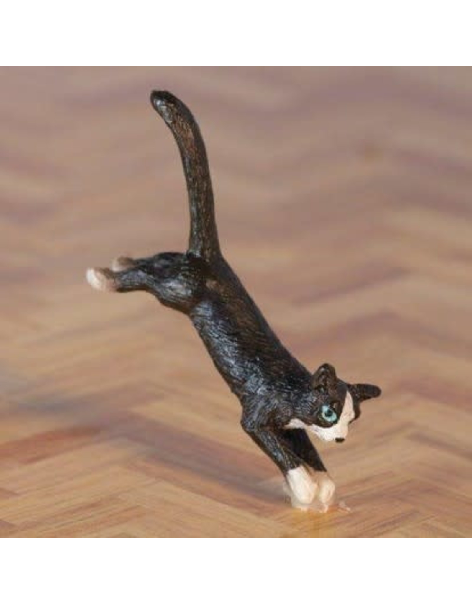 Chat qui saute Petit Bonheur