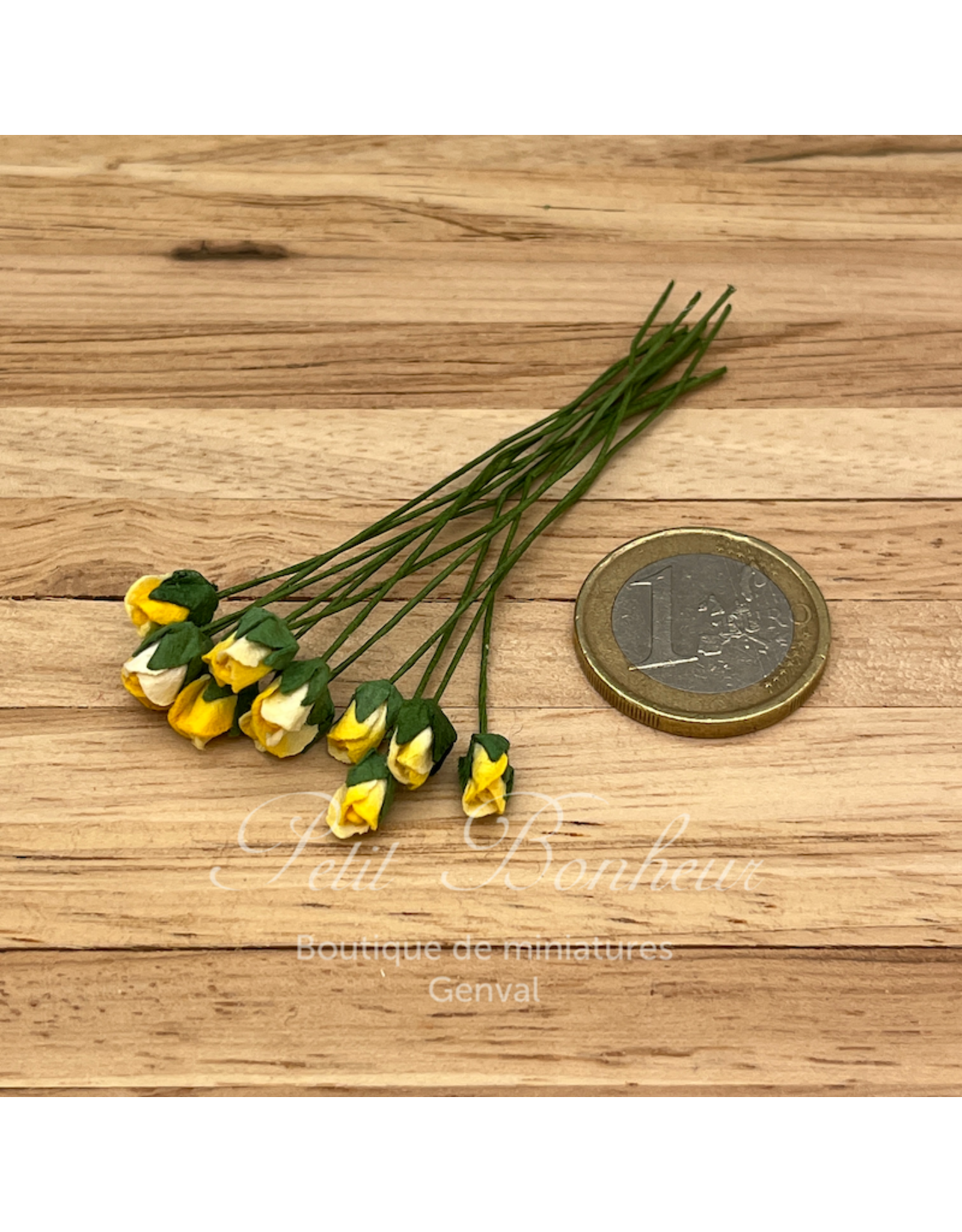 Roses jaunes en boutons (12)miniatures 1:12