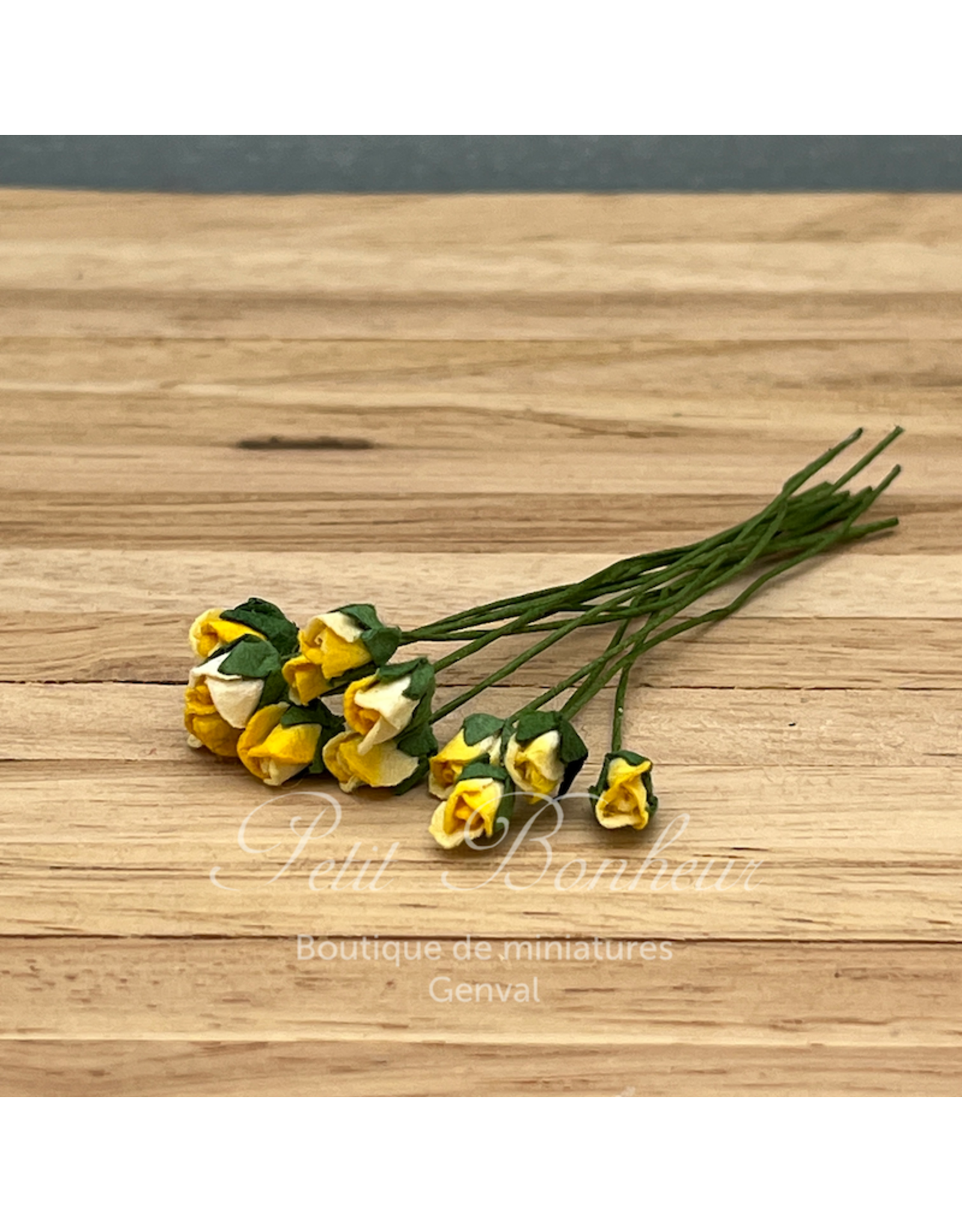 Roses jaunes en boutons (12)miniatures 1:12