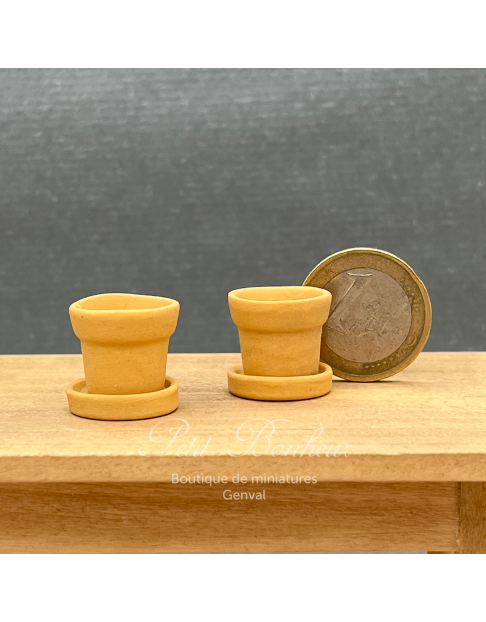 Pots de fleurs terre cuite claire avec coupelle (2) miniatures 1:12