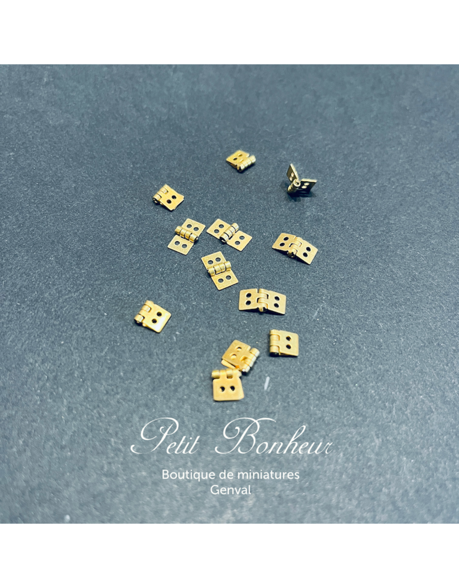 Petites charnières 5x10mm (12)