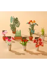 Rolife Floral Corner - Coin Fleuri (Book Nook) TGB09 - Rolife DIY Miniature Dollhouse