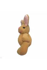 Lapin brun