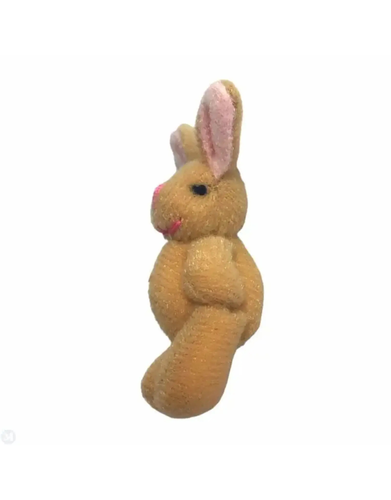 Lapin brun