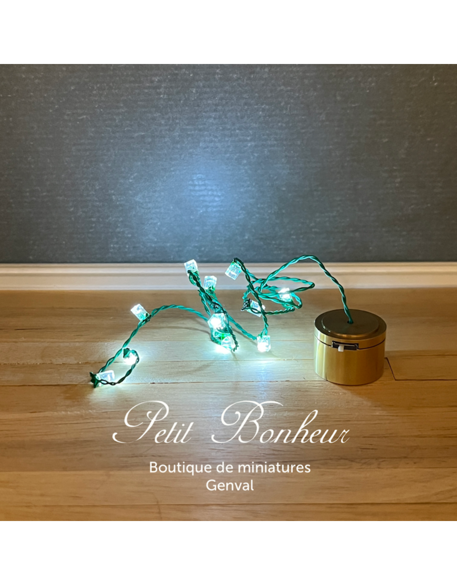 Guirlande de Noël blanche LED, 10 lampes (piles non incluses)