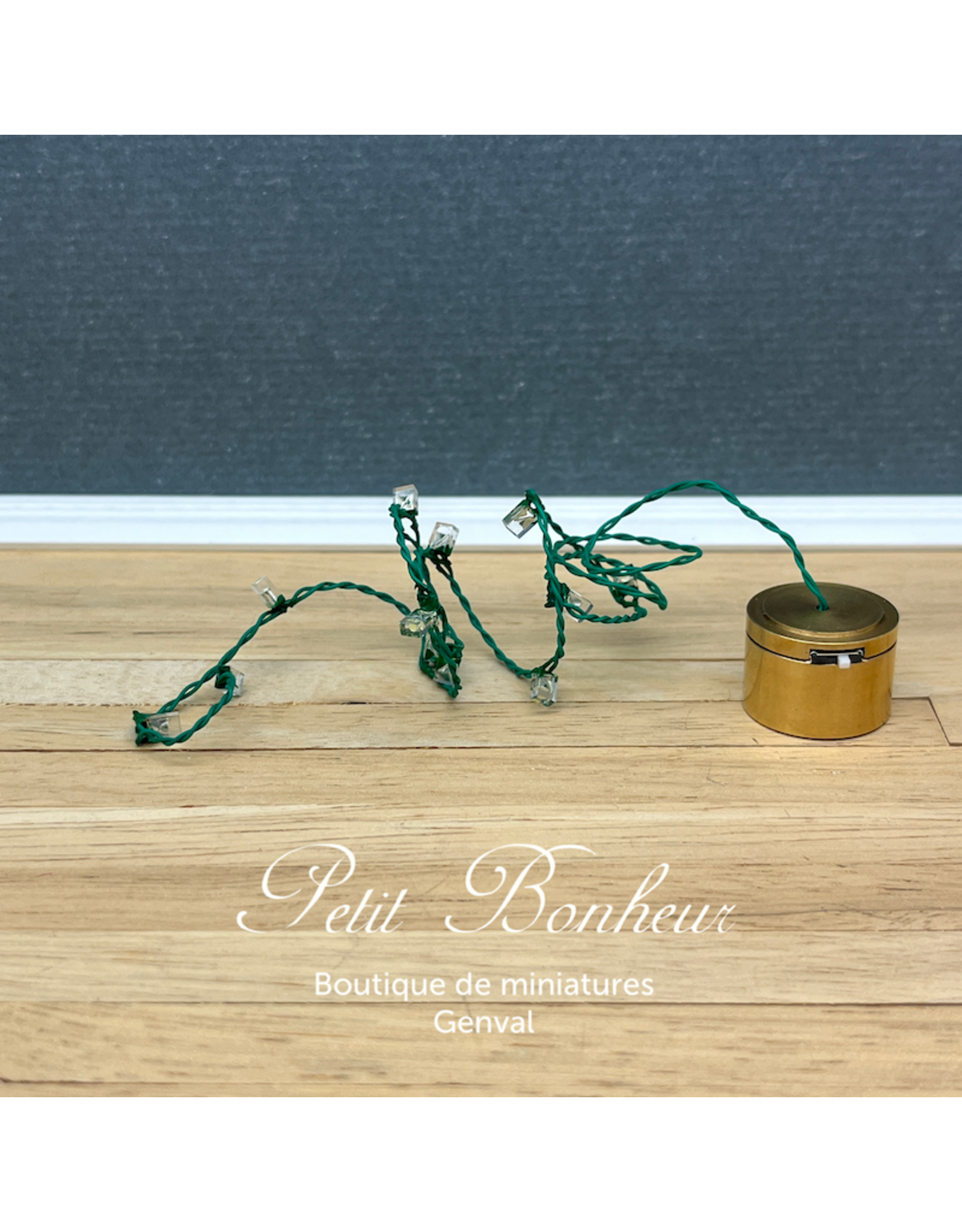 Guirlande de Noël blanche LED, 10 lampes (piles non incluses)