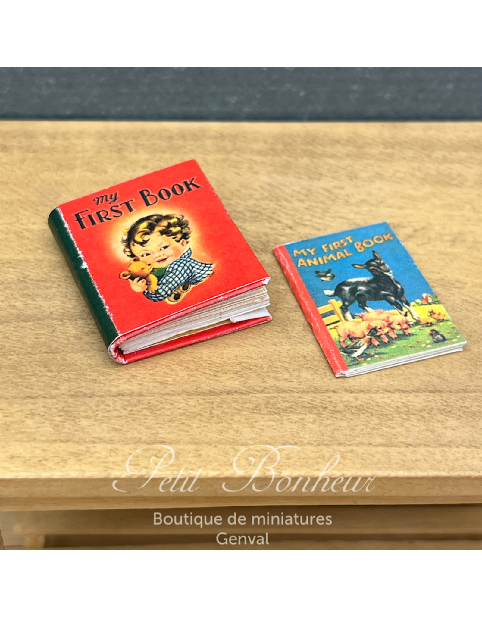 Ensemble de deux livres d'enfants, imprimés à l'intérieur - miniature 1:12