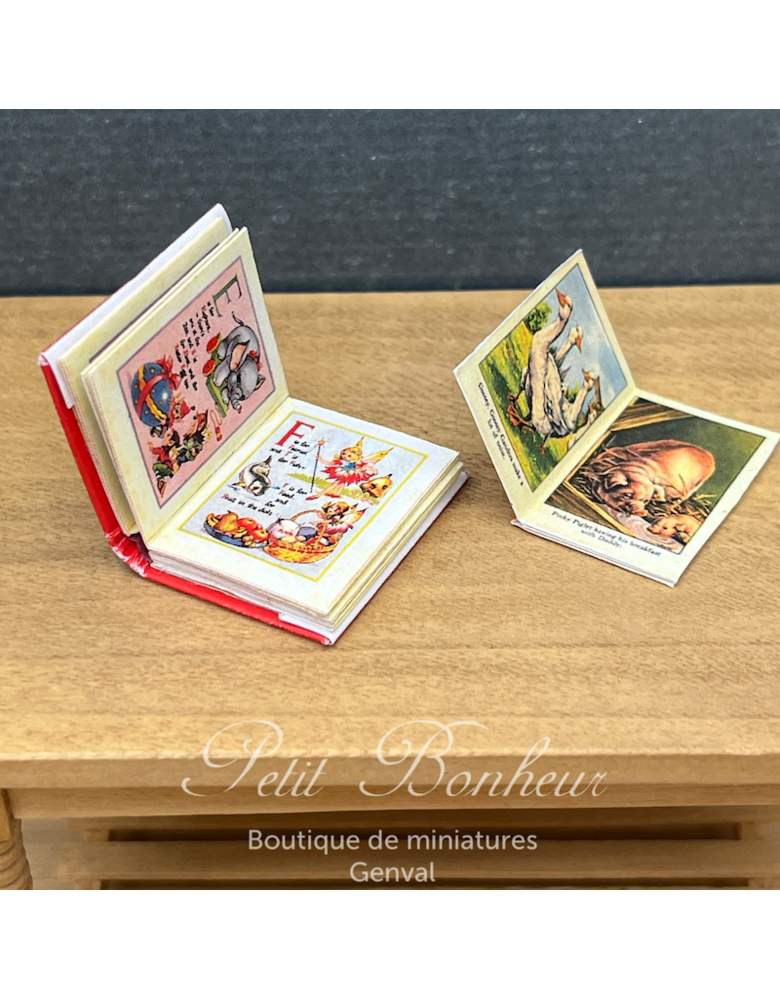 Ensemble de deux livres d'enfants, imprimés à l'intérieur - miniature 1:12