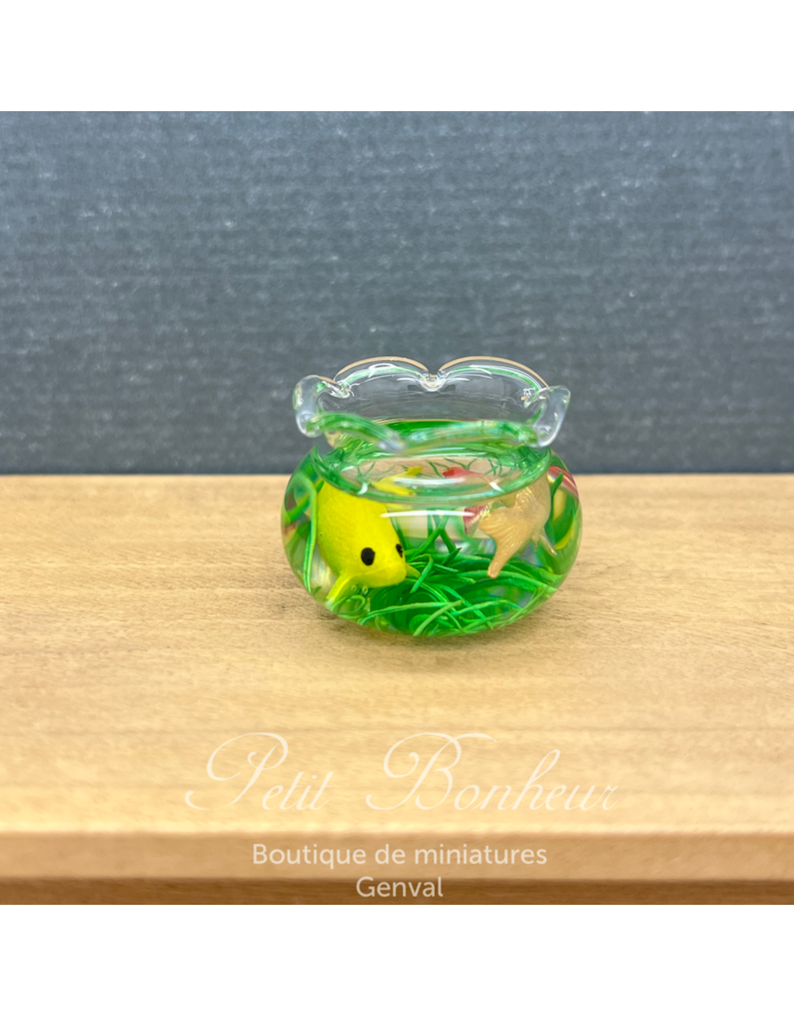 Aquarium avec deux Koï