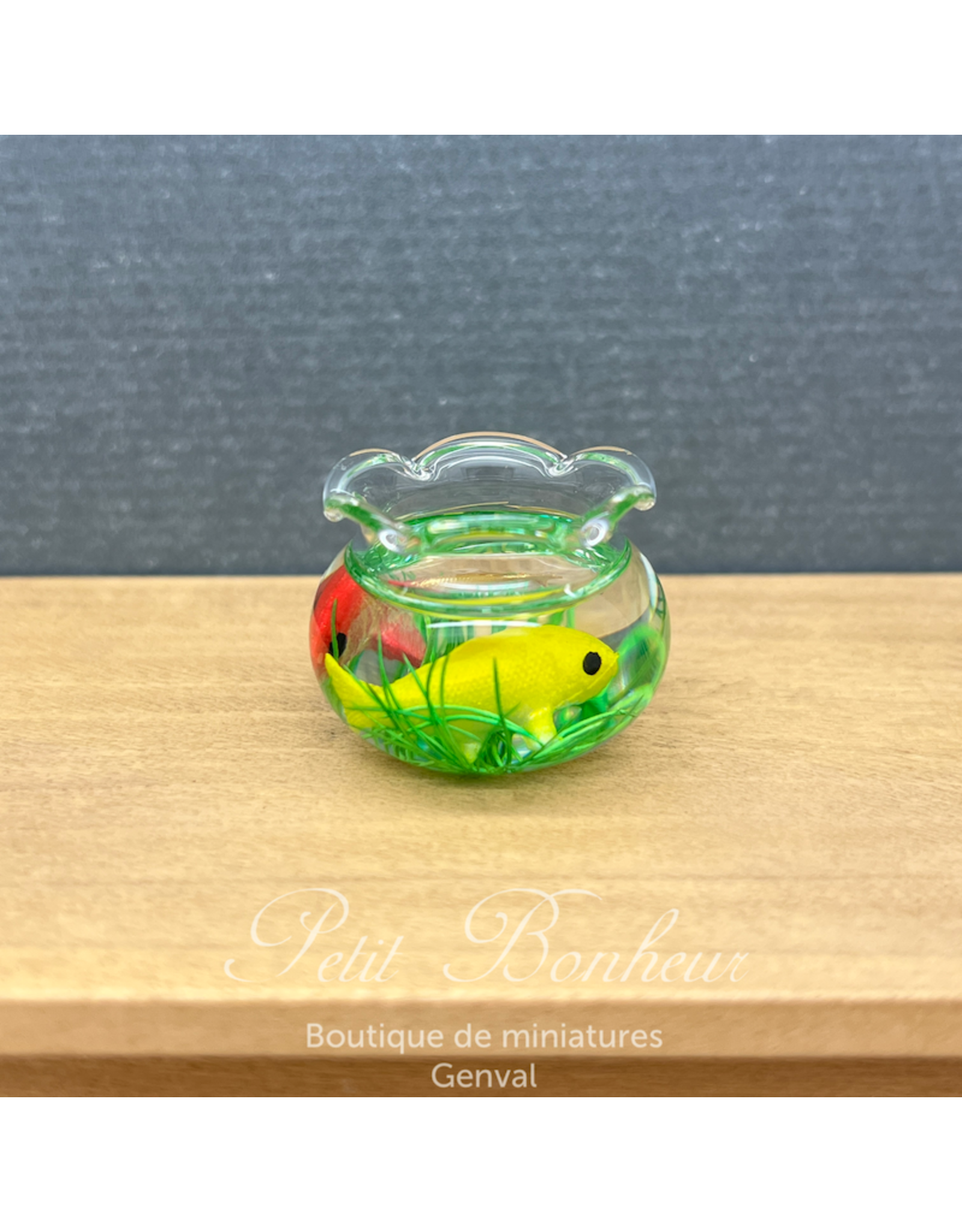 Aquarium avec deux Koï