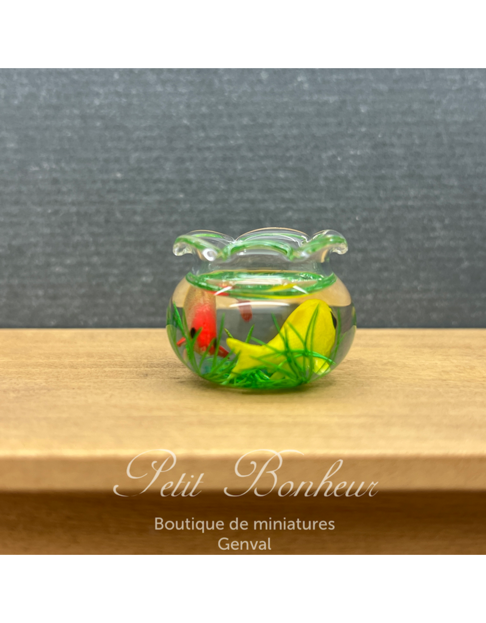 Aquarium avec deux Koï