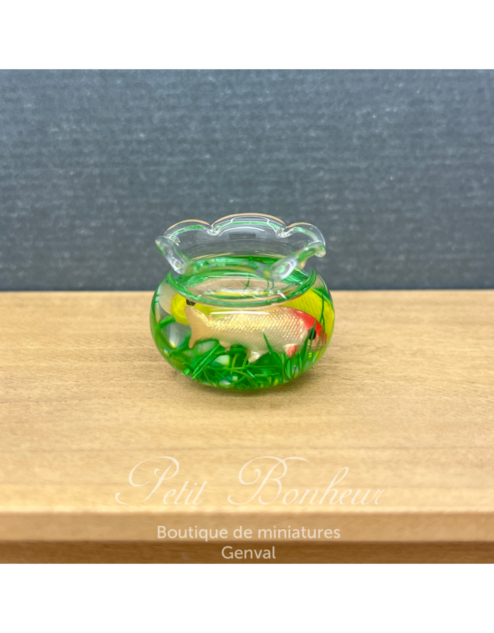 Aquarium avec deux Koï