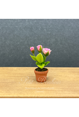 Pot avec rosier