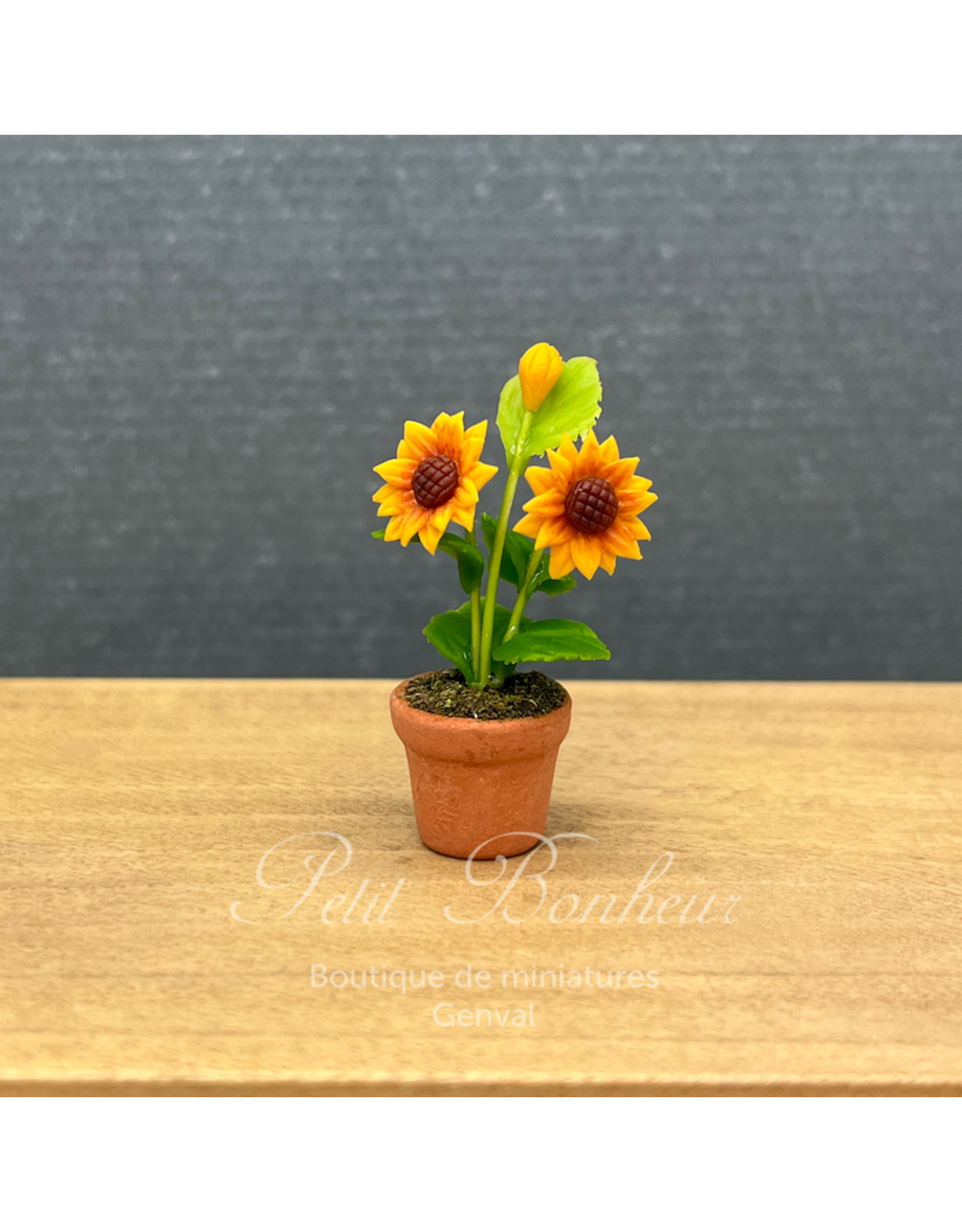 Tournesol en pot, miniature 1:12