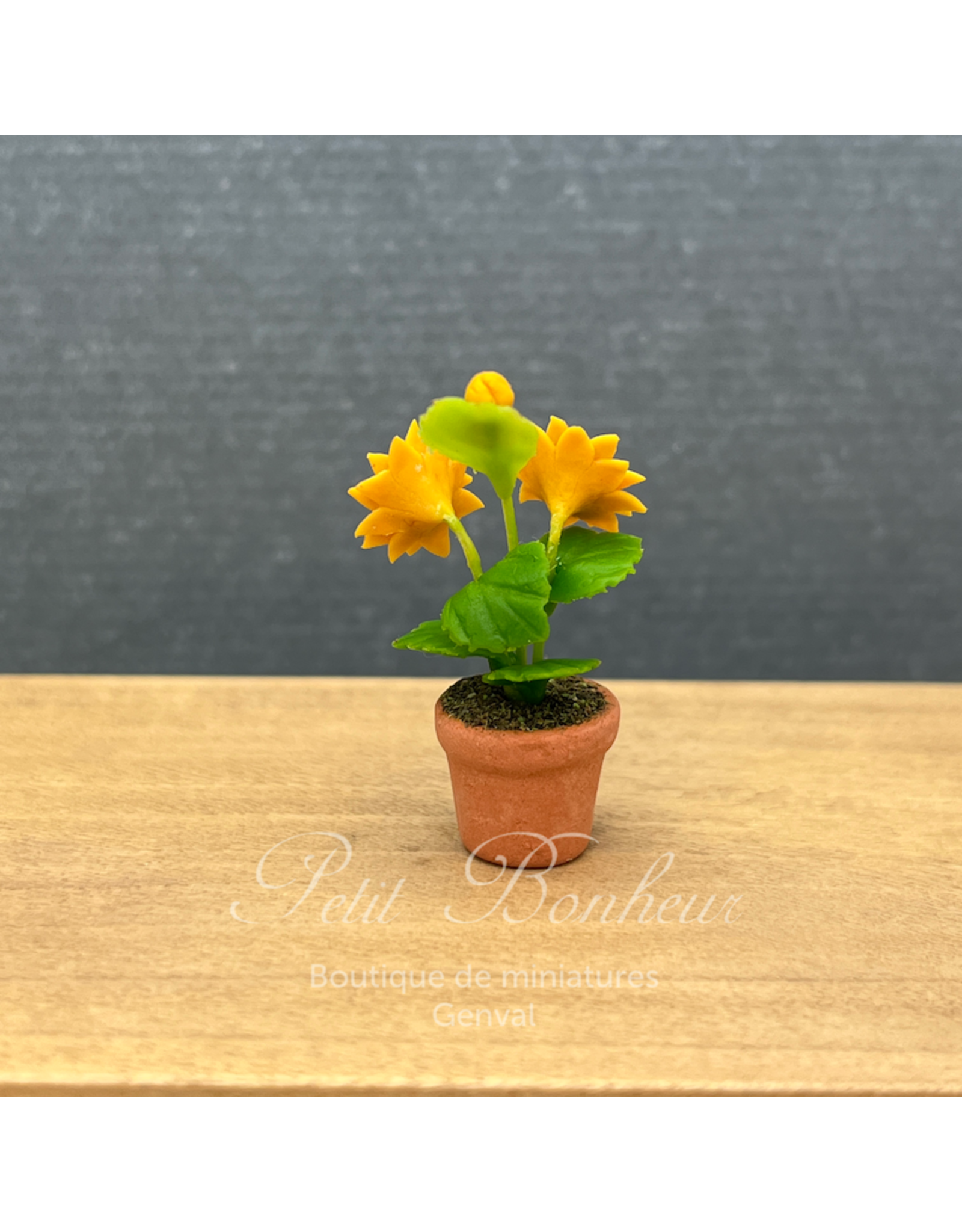 Tournesol en pot, miniature 1:12