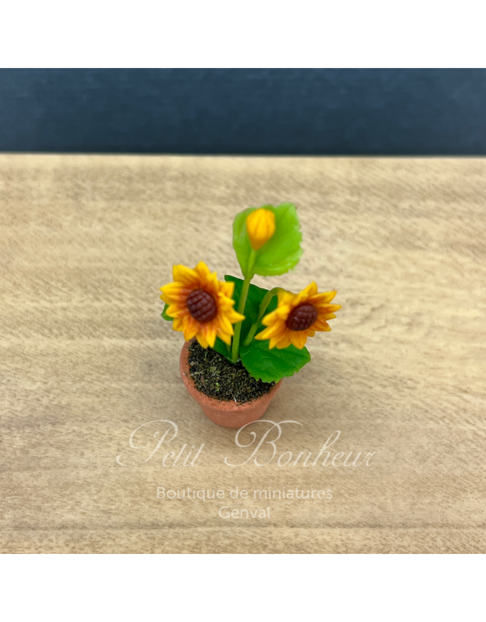 Tournesol en pot, miniature 1:12