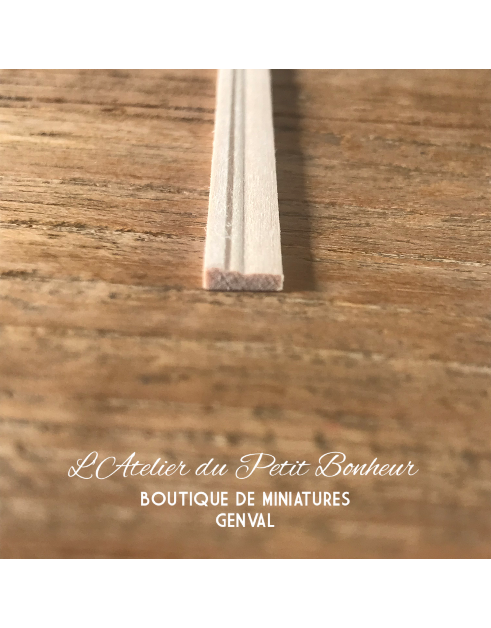Petite plinthe P5/2 (300x6x1,5mm)