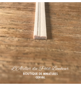 Petite plinthe P5/2 (300x6x1,5mm)